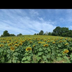 Meet your Posher, Eleanor